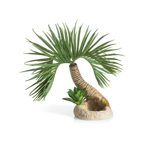 Decoratiune biOrb palmier Seychelles, S