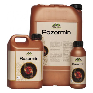 Biostimulator pentru inradacinare Atlantica Razormin