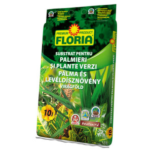 Substrat pentru palmieri si plante verzi Floria