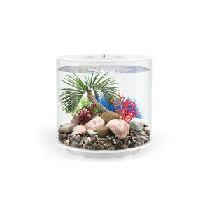 Decoratiune biOrb palmier Seychelles, S