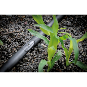 Kit irigare prin picurare IrriGo pentru 10 randuri cu regulator