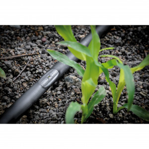 Kit irigare prin picurare IrriGo pentru 10 randuri cu filtru 