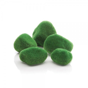 Set pietricele decorative cu muschi Biorb, verde