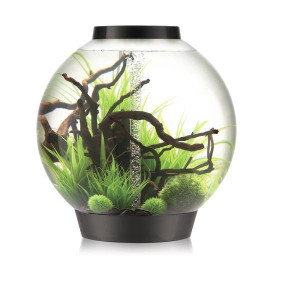 Acvariu BiOrb Classic 105 litri MCR, Negru