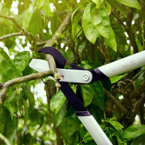 Foarfeca bypass Fiskars PowerGearX LX92, S