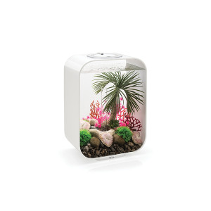 Set corali plati biOrb